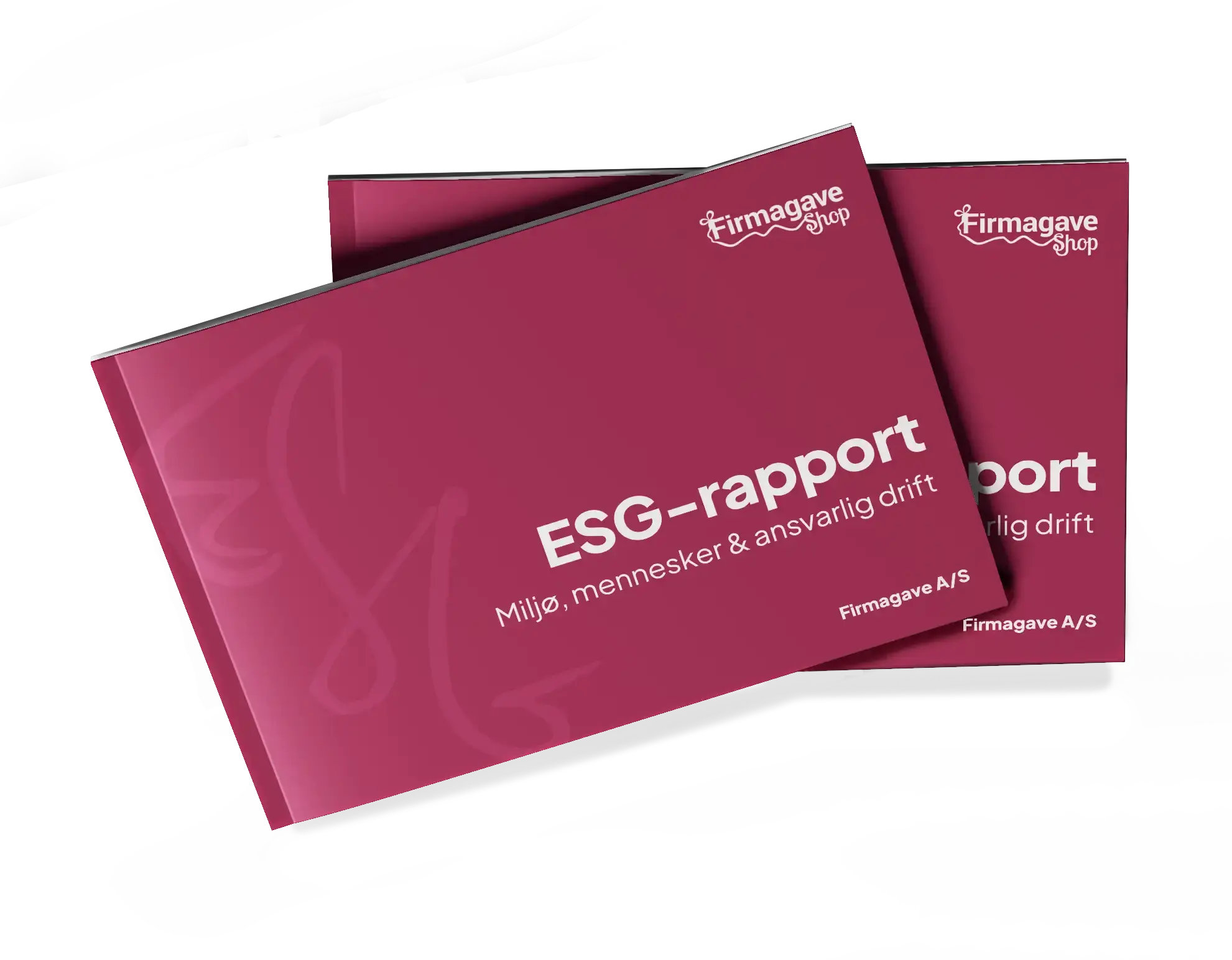 Mockup af esg-rapport